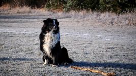 L´Grace of Blue Grass Ranch