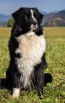 L´Grace of Blue Grass Ranch