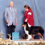 AKC major ptd , UKC CH , ICKC JrGrCH , IC-JPCH NICE GUY Labakan Slovakia AKC major ptd , UKC CH , ICKC JrGrCH , IC-JPCH NICE GUY Labakan Slovakia