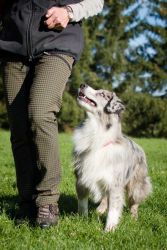 Blue Diamond Labakan Slovakia Blue Diamond Labakan Slovakia