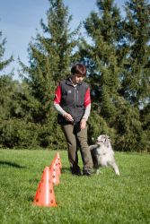 Blue Diamond Labakan Slovakia Blue Diamond Labakan Slovakia