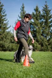 Blue Diamond Labakan Slovakia Blue Diamond Labakan Slovakia