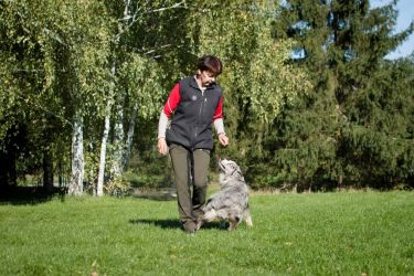 Blue Diamond Labakan Slovakia Blue Diamond Labakan Slovakia