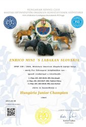 Enrico Mini´s Labakan Slovakia