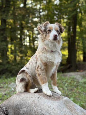 Vanessa Des Costys Du Tomberg