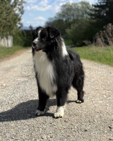 Yucon Labakan Slovakia